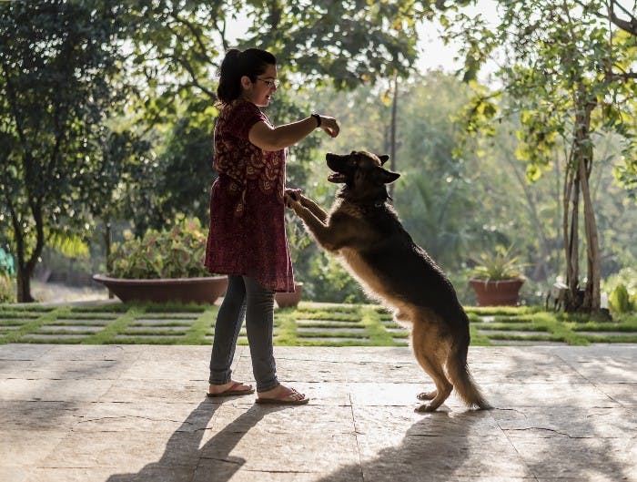 Your guide to the best pet friendly vacation homes in India : SaffronStays!