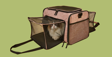 FOFOS Pet Carriers : Travelling with pets in India.